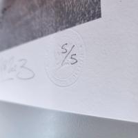 C 36