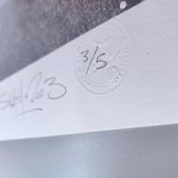 E 29