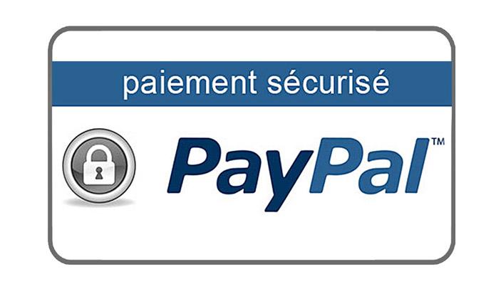 Paypal 1